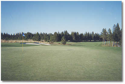 quail run golf course quail run golf course