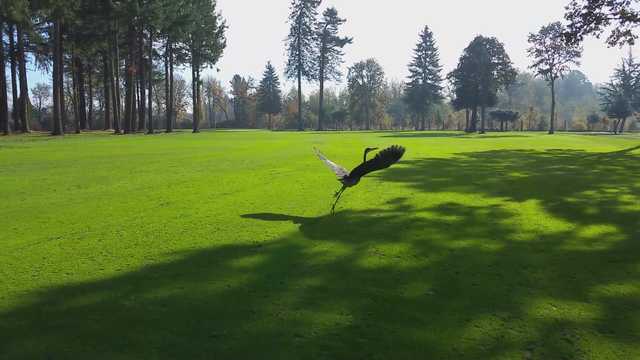Killarney West Golf Course Hillsboro Oregon Golf course information Killarney West Golf Course Hillsboro Oregon Golf course information