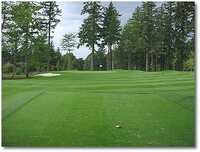 Eagle Landing #1