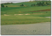 Quail Valley #2