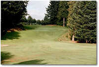 Springwater #3