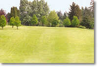 St Helen's #1