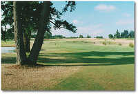 Stone Creek #4