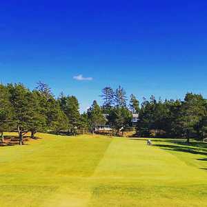 Manzanita Links