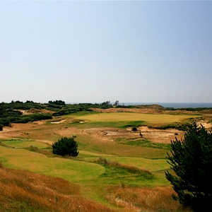 Bandon Dunes - Old Mcdonald Golf Course - Hole 6
