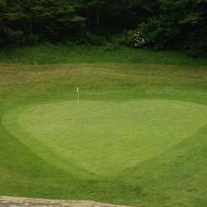 Olalla Valley GC: #8
