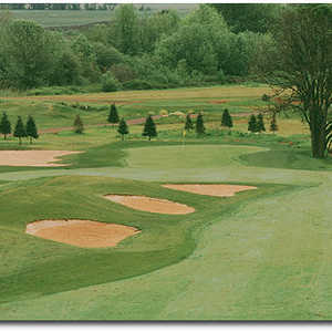 Diamond Woods #4