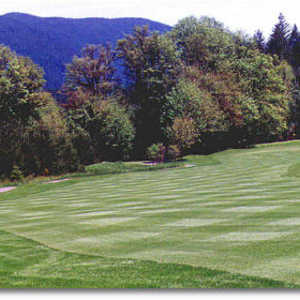 Elkhorn Valley: #18