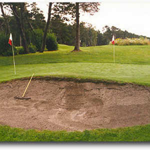 Highlands at Gearhart: Practice area