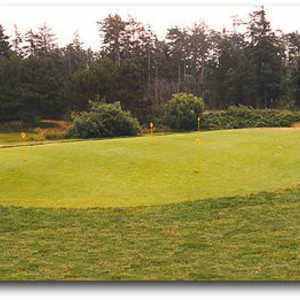 Manzanita Putting Green