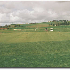 Quail Valley Putting Green