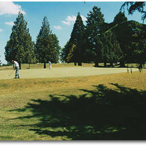 RedTail Putting Green