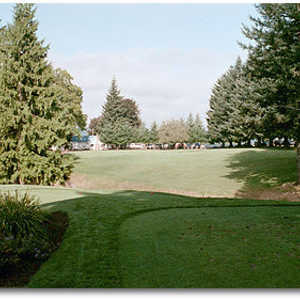 Springwater #9
