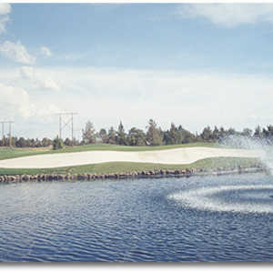 Greens at Redmond #8