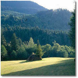 Signature Hole (#1 Foxglove)