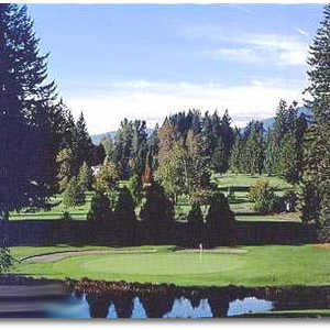 Hole (#4 Pine Cone)