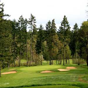 Diamond Woods