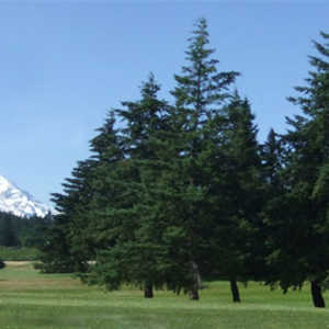 Hood River GCC