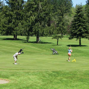 Vernonia GC