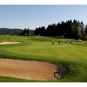Chehalem Glenn GC: #3