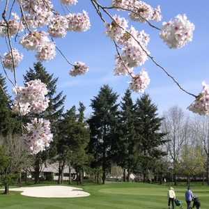 Charbonneau GC - Green/Red