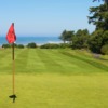 View from a green at Salishan Golf Links.