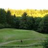 A view of the par-3 4th green at Olalla Valley Golf Club