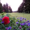 A view from Vernonia Golf Club