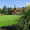 A view of the practice putting green at Albany Golf & Event Center