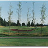 Aspen Lakes: Hole #8 - Nice hole. Club selection is important due to pin placement on this extra large green. ( Dave Blackledge )