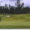 Colwood National #17: This long par 3 runs downhill except for a large mound to the left and a hill to the right. Around the green is free from bunkers and tall rough.