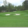 Eagle Landing #5 (Mike Grimm)
