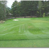 Eagle Landing #6 (Mike Grimm)
