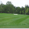Eagle Landing #8 (Mike Grimm)