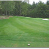 Eagle Landing #9 (Mike Grimm)