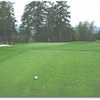 Eagle Landing #11 (Mike Grimm)