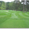 Eagle Landing #13 (Mike Grimm)