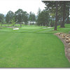 Eagle Landing #14 (Mike Grimm)