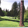 Elkhorn Valley: #5