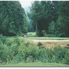 Elkhorn Valley: #6 (Dave Blackledge)