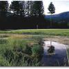 Elkhorn Valley: #11