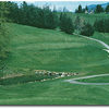 Indian Creek #5: Nice par 3 with a deeps sand trap to the right and a creek running across the front. Too much club will leave you with a downhill chip