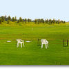 Day and night practice range with covered and lighted stalls. Grass tees available during good weather months