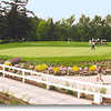 The practice green is beautifully manicured and large enough to accommodate several golfers.