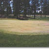 The putting green pitches downhill providing good practice for course play.