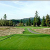 Mallard Creek #6
