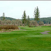 Mallard Creek #8