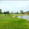Mallard Creek #9