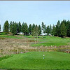 Mallard Creek #12