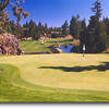 River's Edge #6: Another hole where accuracy is a must. You star from an elevated tee. The fairway is narrow with trees and rock to each side. Your approach shot requires 1 more club to hit the three tiered green and to clear the water.